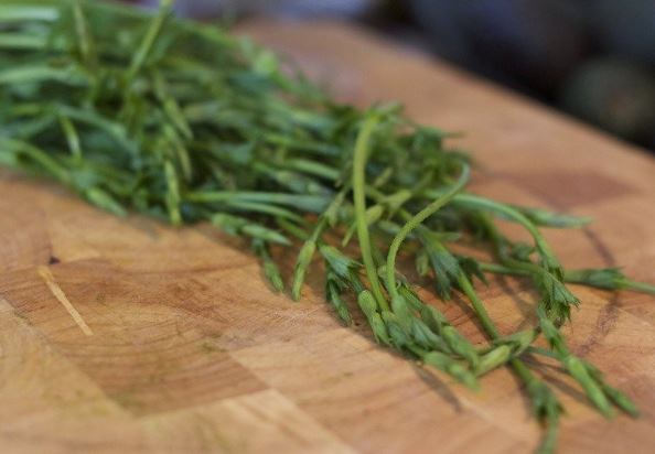 Nông sản ‘đồ thừa’ bỗng thành ‘bảo vật xanh’ đắt đỏ hàng đầu thế giới, giá lên tới hơn 26 triệu đồng/kg nhưng giới siêu giàu vẫn đổ xô săn lùng