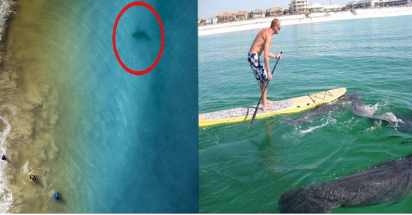 &#x110;&#x1ECB;a &#x111;i&#x1EC3;m &#x111;&#x1B0;&#x1EE3;c m&#x1EC7;nh danh l&#xE0; th&#x1EE7; ph&#x1EE7; c&#xE1; m&#x1EAD;p, s&#x1ED1; l&#x1B0;&#x1EE3;ng n&#x1EA1;n nh&#xE2;n b&#x1ECB; c&#xE1; m&#x1EAD;p c&#x1EAF;n cao nh&#x1EA5;t th&#x1EBF; gi&#x1EDB;i