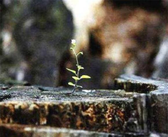 1-nhung-nguoi-nen-tranh-trong-cuoc-doi-ngoisaovn-w611-h500 2 cuộc sống, cuộc đời, những người nên tránh xa khi ta gặp chuyện xui xẻo