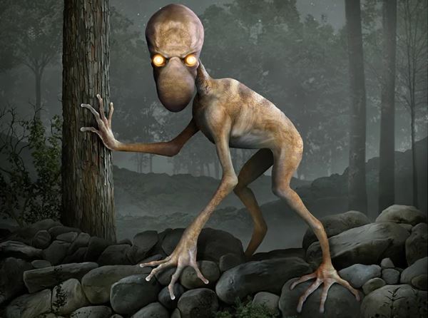 Top 10 sinh vật đáng sợ và bí ẩn nhất thế giới