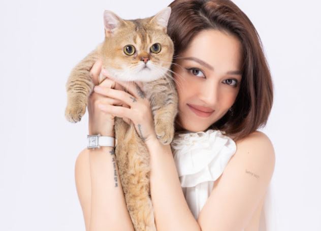 'Boss cưng' nhà chị đẹp Bảo Anh có gì đặc biệt mà giá có khi lên đến hàng tỷ đồng?