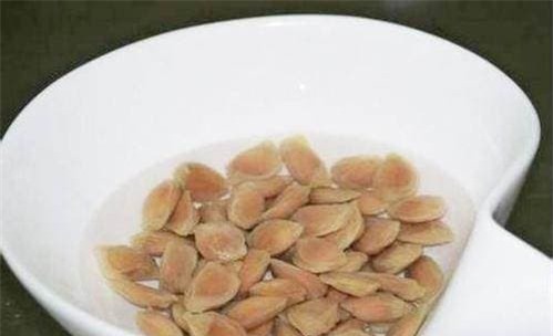 hat-trong-cay (1).jpeg 0 cây cảnh, gieo hạt, cây ăn quả, trồng cây cảnh