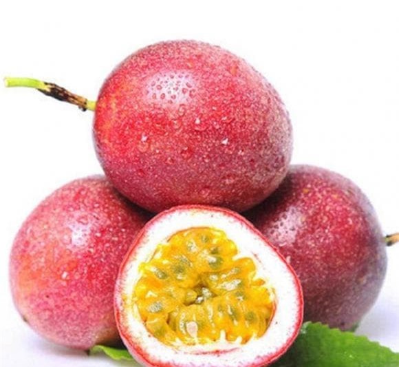 hat-trong-cay (1).jpeg 3 cây cảnh, gieo hạt, cây ăn quả, trồng cây cảnh