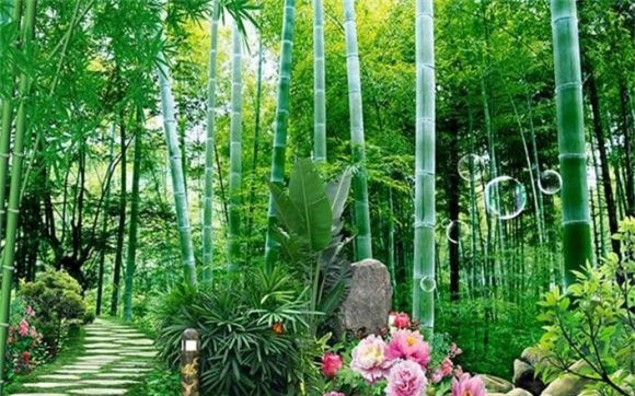 4-treo-tranh-gi-trong-phong-khach-ngoisaovn-w706-h441 0 phong thủy nhà, tranh phong thủy phòng khách, tranh treo phòng khách
