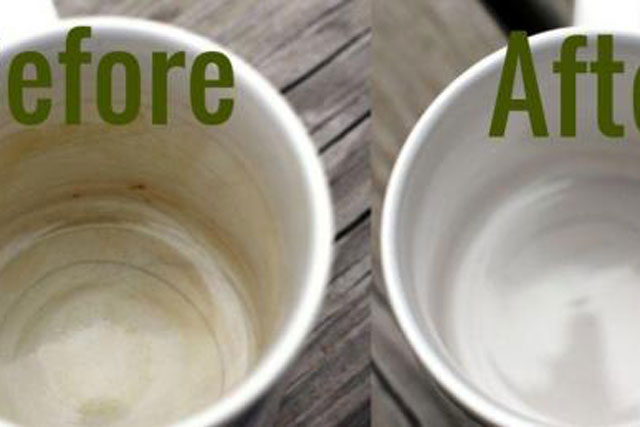 Cốc sứ bị xỉn màu, ố vàng do uống trà, cafe, làm ngay mẹo này cốc trắng tinh như mới sau 2 phút