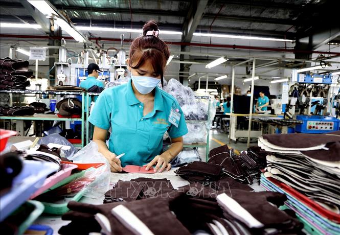 Doanh nghiệp xuất khẩu thời trang tìm giải pháp chuyển đổi xanh