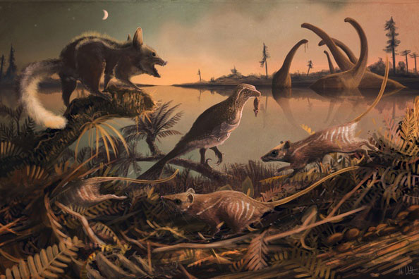 Các nhà khoa học tái tạo thành công bộ gen tổ tiên chung của tất cả các loài động vật có vú