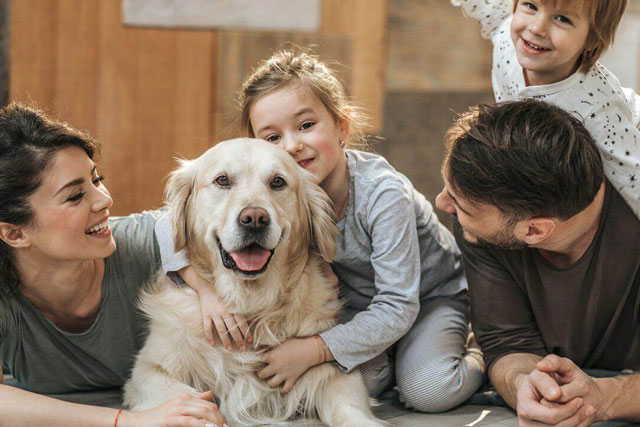 Tuổi này cực hợp nuôi chó: Có 1 con cũng mời gọi may mắn, tiền đếm mỏi tay