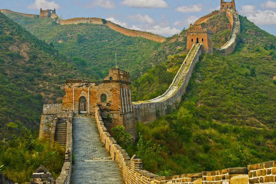 Tìm thấy loài cây 'quen thuộc' được dùng để xây dựng Vạn Lý Trường Thành