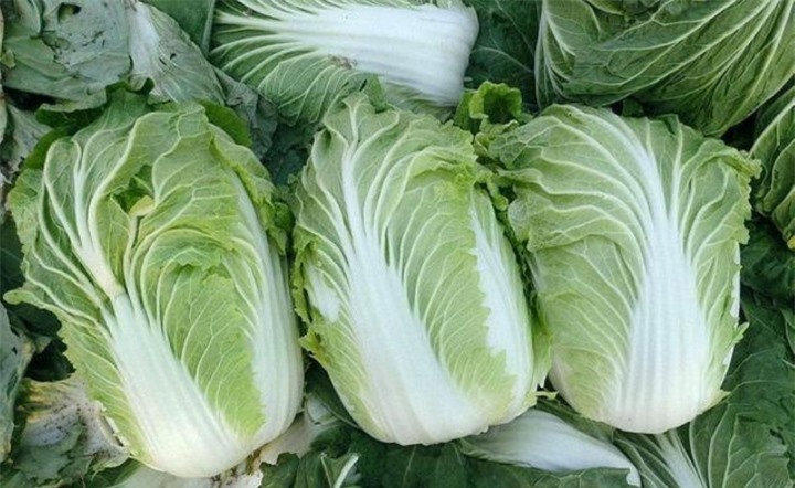 Điểm danh 5 loại rau chứa nhiều trứng ấu trùng, chúng ta vẫn ăn thường xuyên - 3