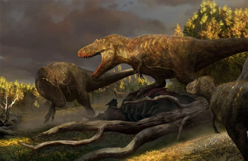 Hai chân trước có kích thước tí hon của Tyrannosaurus rex có tác dụng gì? - Ảnh 3.