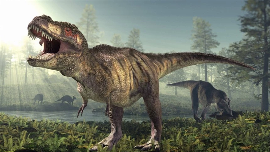 Hai chân trước có kích thước tí hon của Tyrannosaurus rex có tác dụng gì? - Ảnh 7.
