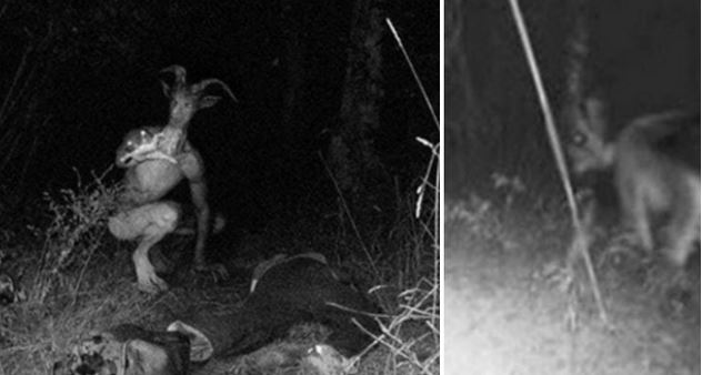 Những quái vật đáng sợ từng được đồn đại xuất hiện trong lịch sử loài người (P.2)