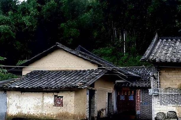 Tổ Tiên dặn kỹ: 'Rắn vào nhà tuyệt đối không được đánh', hóa ra vì 1 lý do