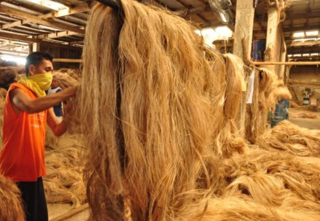 Một loại 'cây vàng cây bạc' mọc khắp Việt Nam giúp thu về nửa tỷ USD trong 9 tháng: Mỹ, Nhật Bản, Vương quốc Anh cực ưa chuộng, nước ta nằm trong danh sách 'trùm' của thế giới