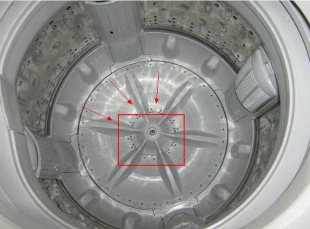Trong máy giặt có một cơ quan nhỏ, mỗi tháng mở ra một lần, vừa sạch lồng giặt quần áo lại thơm tho