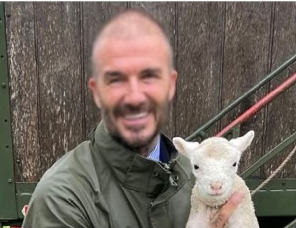 Tượng đài nhan sắc David Beckham gây sốc khi xuất hiện với mái tóc lưa thưa đến tội nghiệp