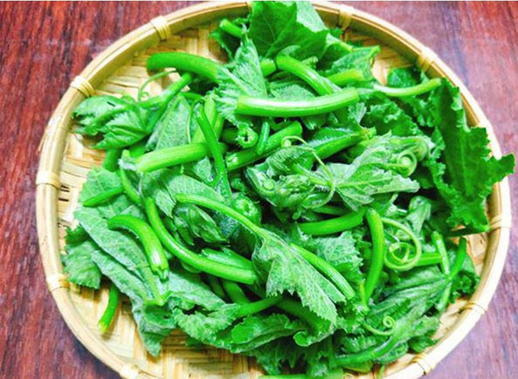 Được giới Đông y gọi là 'rau toàn năng', mang lại 9 tác dụng tuyệt vời