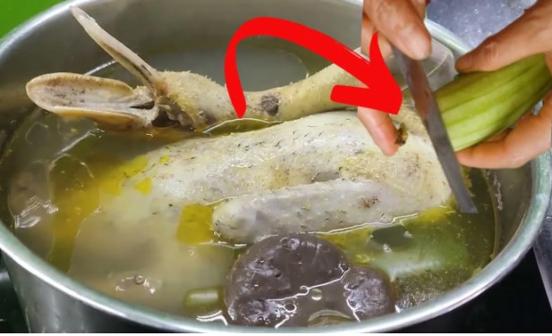 Cắt nhỏ loại quả này rồi thả vào nồi luộc vịt: Thịt đậm vị, hết sạch mùi hôi