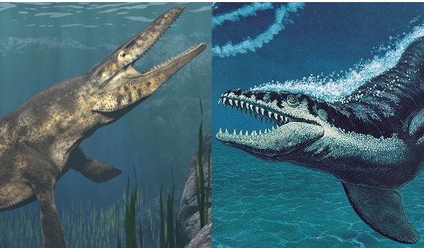 Lộ diện quái vật đại dương hung dữ kinh hoàng, săn mồi 'nhanh như chớp' 80 triệu năm trước