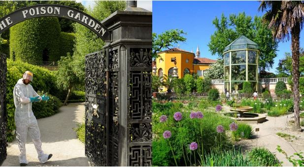 Khu vườn độc hại nhất thế giới, có thể gây chết người nếu sờ, ngửi, ngắt hoa, nhưng vẫn thu hút khách du lịch