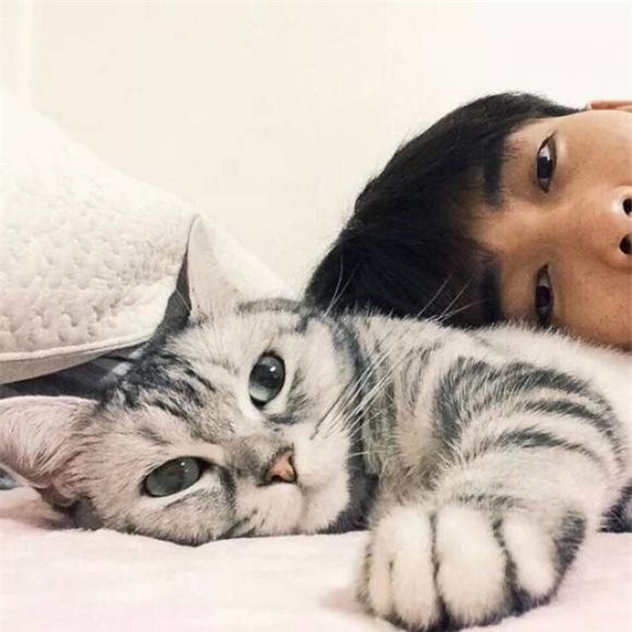 nuoi-cho-meo (15).jpg 0 nuôi mèo, nuôi chó, câu nói triết lý, tại sao đàn ông không nuôi mèo, đàn bà không nuôi chó