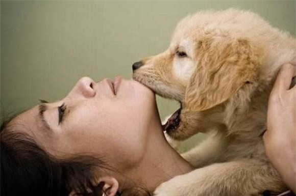 nuoi-cho-meo (2).jpg 1 nuôi mèo, nuôi chó, câu nói triết lý, tại sao đàn ông không nuôi mèo, đàn bà không nuôi chó