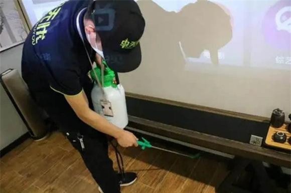 diet-gian (1).jpeg 5 giệt gián, diệt gián, mẹo hay, tỏi