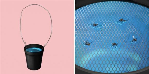 muỗi đốt  1 muỗi đốt, cách đuổi muỗi, kiến thức