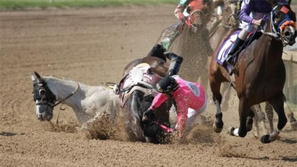 ngựa bị gãy chân 0 tại sao,lý do tại sao, ngựa bị thương, ngựa gãy chân, ái chết thường là lựa chọn duy nhất khi con ngựa bị gãy chân, ngựa bị gãy chân