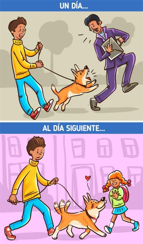 chó cắn 6 chó cắn, chó cắn người, kiến thức