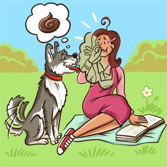 chó cắn 9 chó cắn, chó cắn người, kiến thức