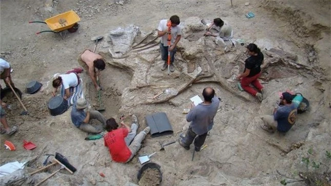 Tìm thấy hóa thạch khủng long cổ dài khổng lồ chưa từng thấy ảnh 2