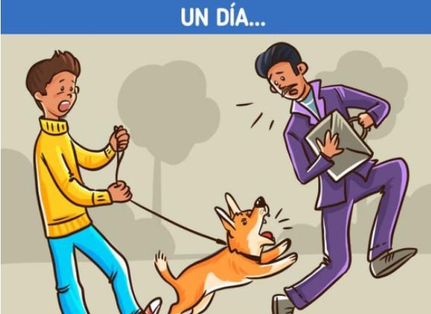 Tại sao chó lại hung dữ, đuổi cắn một số người này nhưng với một số khác lại không?