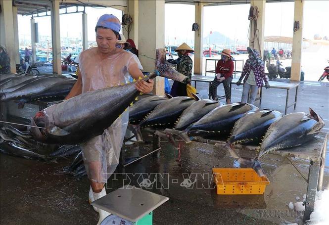 Cá ngừ đứng top 3 xuất khẩu các mặt hàng thủy sản Việt Nam