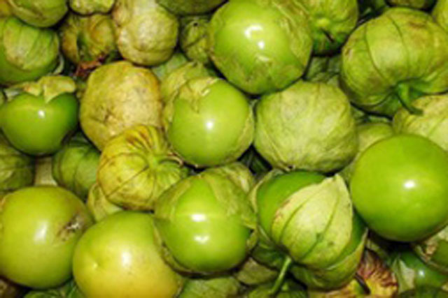 Loại quả mọc dại ở Việt Nam được người Nhật xem như 'thần dược' đắt giá: Là 'thuốc chống ung thư tự nhiên', ổn định đường huyết nhưng ít ai biết