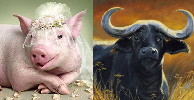 Tổ tiên bao bọc: 4 tuổi phúc lớn mệnh lớn, kinh doanh gặp may giàu không đợi tuổi