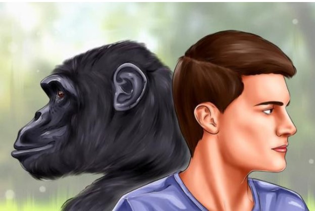 Tại sao mọi người có khuôn mặt khác nhau?