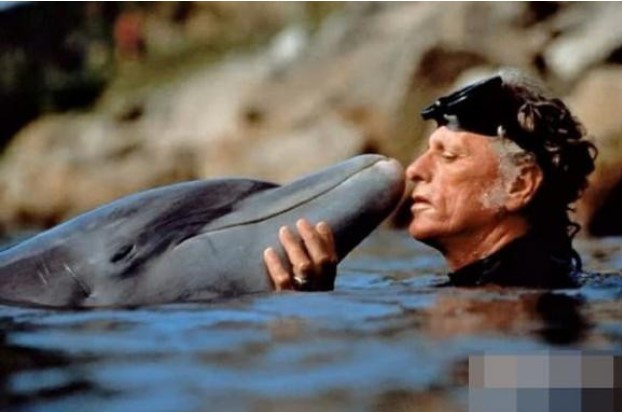 Tại sao cá heo lại cứu người?