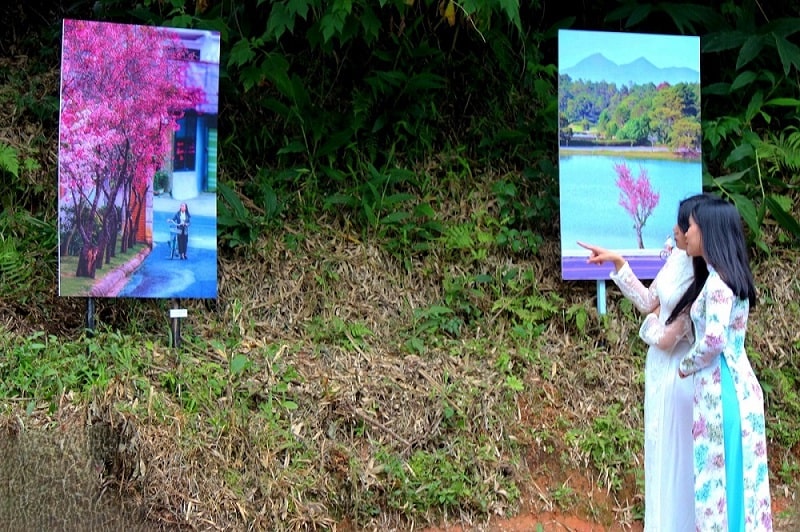 Đà Lạt khai mạc cung đường nghệ thuật, thêm điểm nhấn thu hút du khách