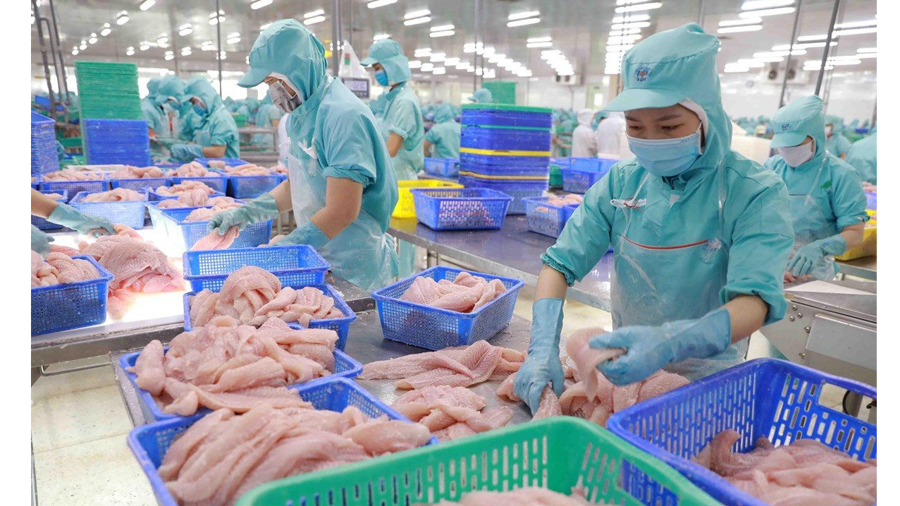 Doanh nghiệp cần làm gì để thích ứng với Thỏa thuận Xanh châu Âu?