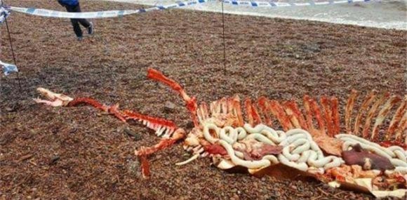 hồ Loch Ness, quái vật, quái vật hồ Loch Ness