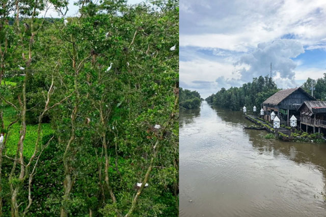 Rừng tràm đẹp nhất được Tổ chức kỷ lục Việt Nam công nhận thuộc địa phận tỉnh nào?