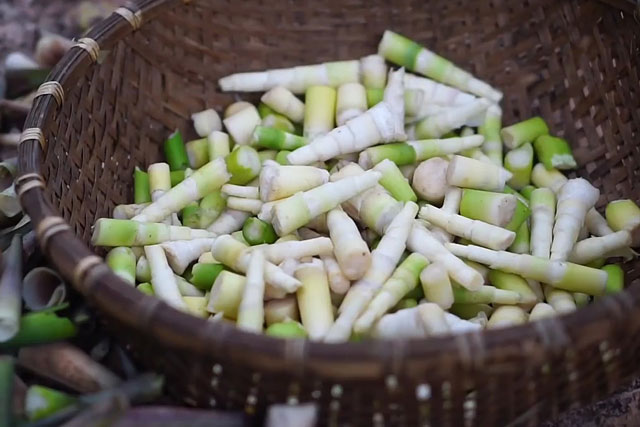 Măng tươi rất ngon nhưng lại cực ᴆộc và đại kỵ với những nhóm người này, ăn vào ʜại thân