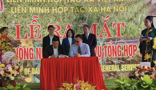 Hà Nội: Ra mắt hợp tác xã nuôi trồng dược liệu, thúc đẩy hợp tác Việt-Hàn