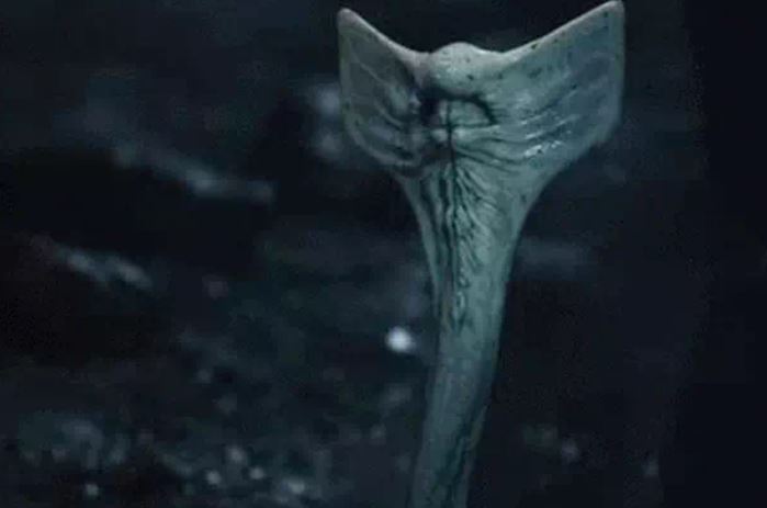 'Rắn hổ mang' kỳ lạ xuất hiện trên Sao Hỏa