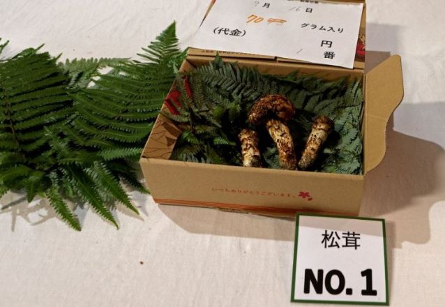 7 loại rau củ đắt đỏ nhất hành tinh, có loại 'cháy hàng' liên tục vì cực hiếm