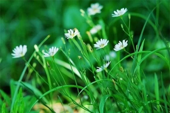  trí tuệ cảm xúc cao, xã giao, ứng xử, ngoại giao, thăm nhà