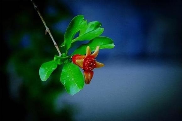  trí tuệ cảm xúc cao, xã giao, ứng xử, ngoại giao, thăm nhà