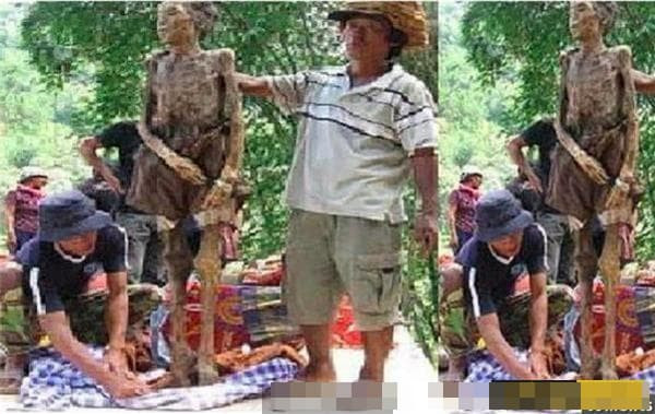 Màn phù thủy 'lái xác chết' kinh dị và bí ẩn nhất thế giới của Indonesia, người quá cố có thể tự chui đầu vào quan tài!